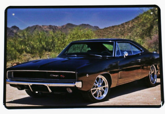 Ford Charger, Blechschild, 30x20cm